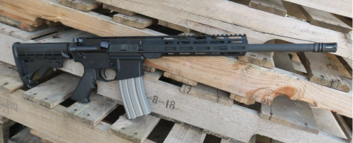 DELTON SIERRA 316H AR15 RIFLE